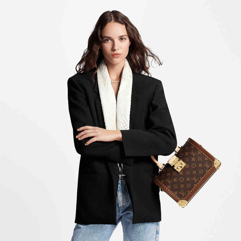 Louis Vuitton Trunk Padlock Brown Handbag-thumb-4