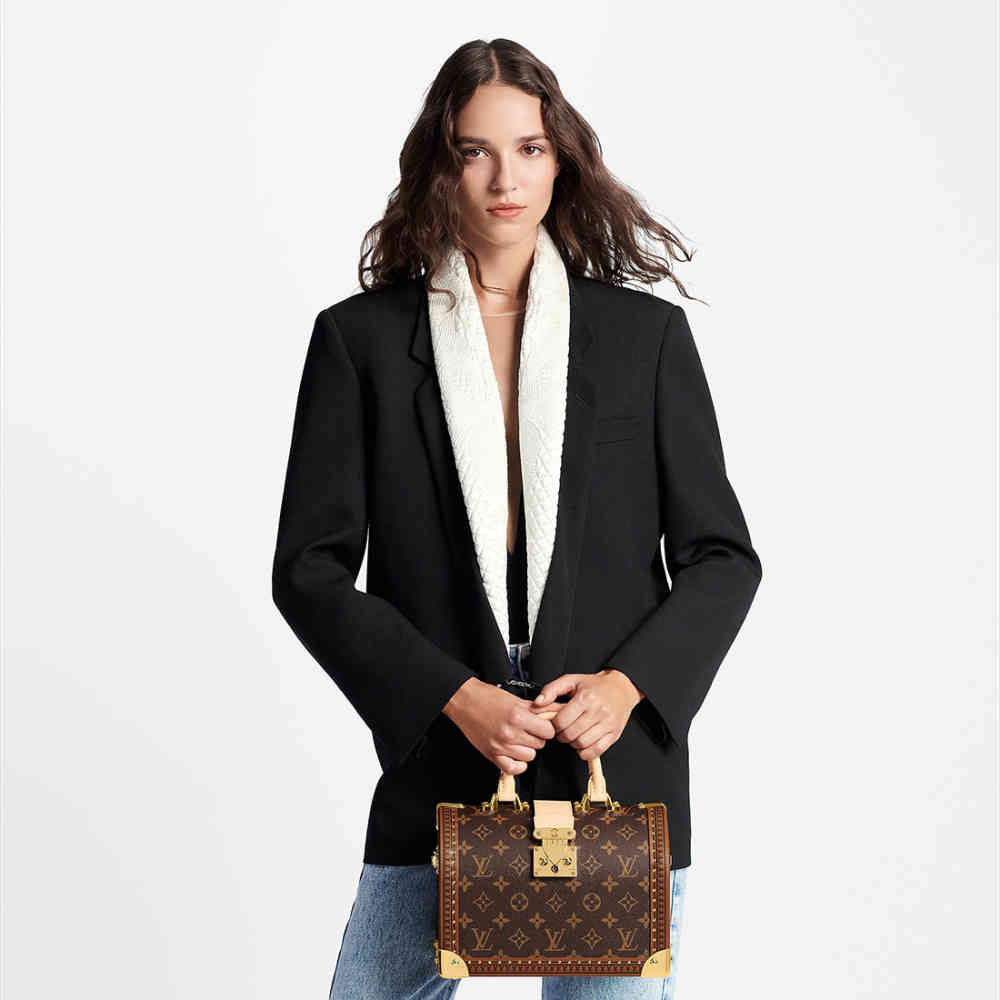 Louis Vuitton Trunk Padlock Brown Handbag-thumb-3