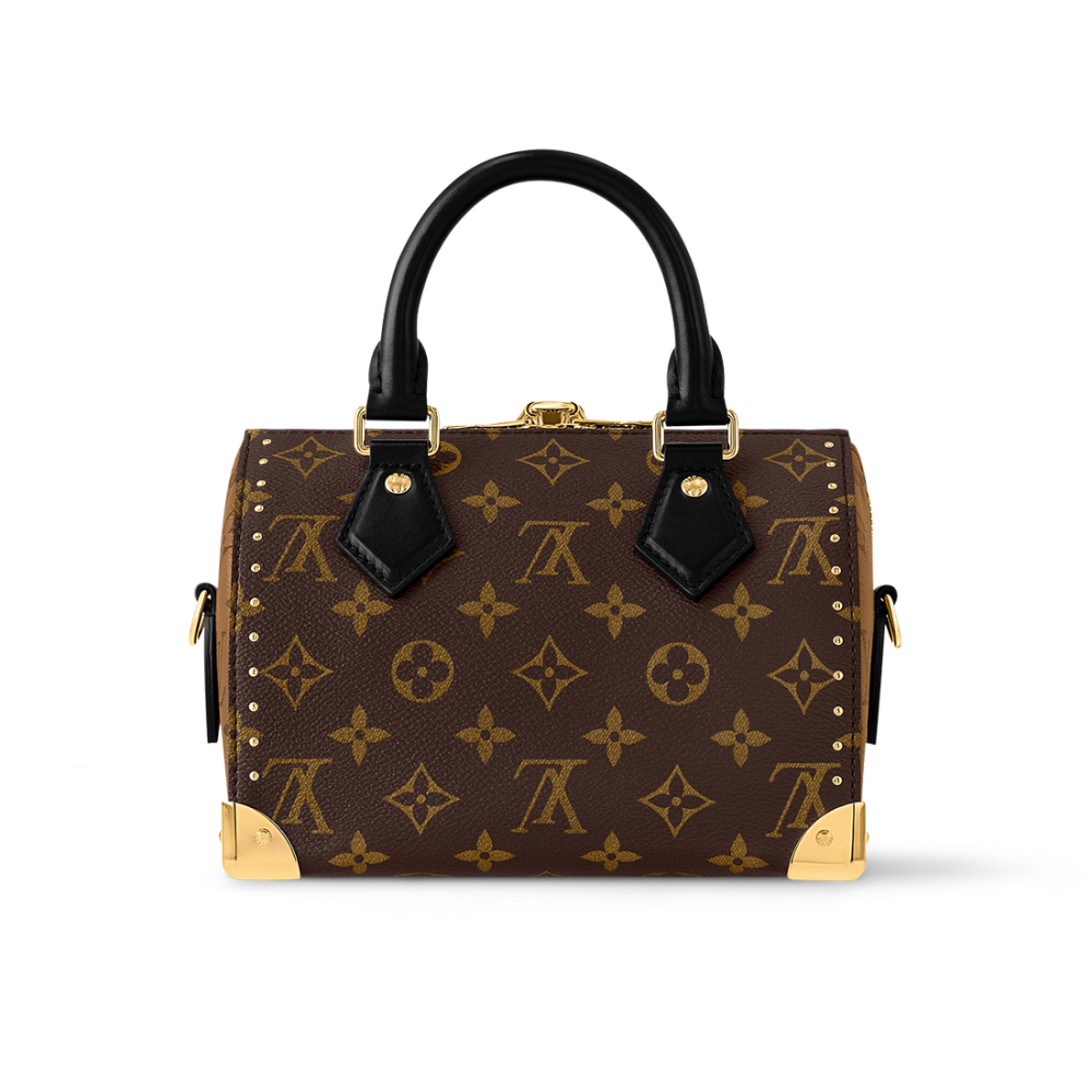 Louis Vuitton Cruise Speedy Brown HandBag-thumb-1