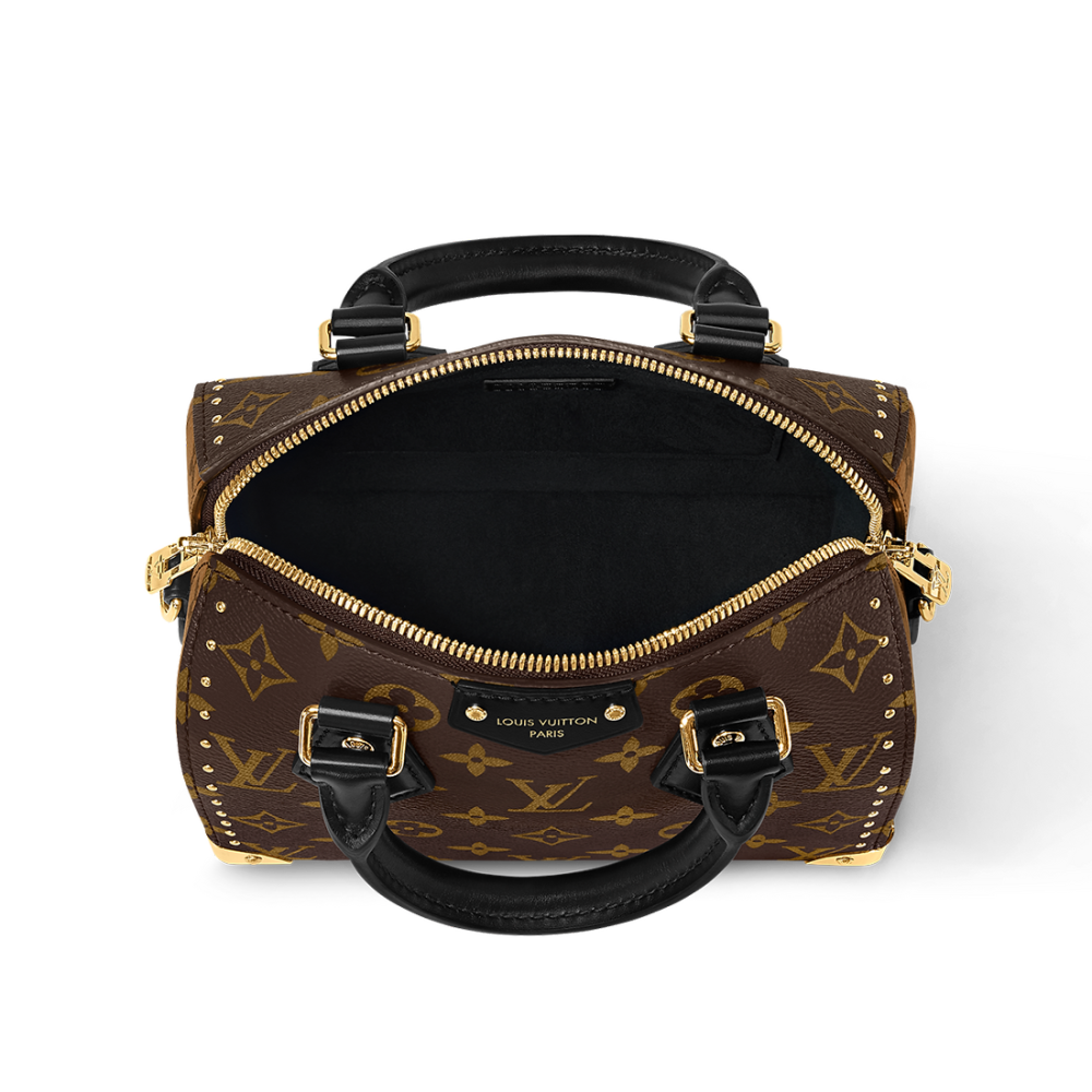 Louis Vuitton Cruise Speedy Brown HandBag-thumb-3