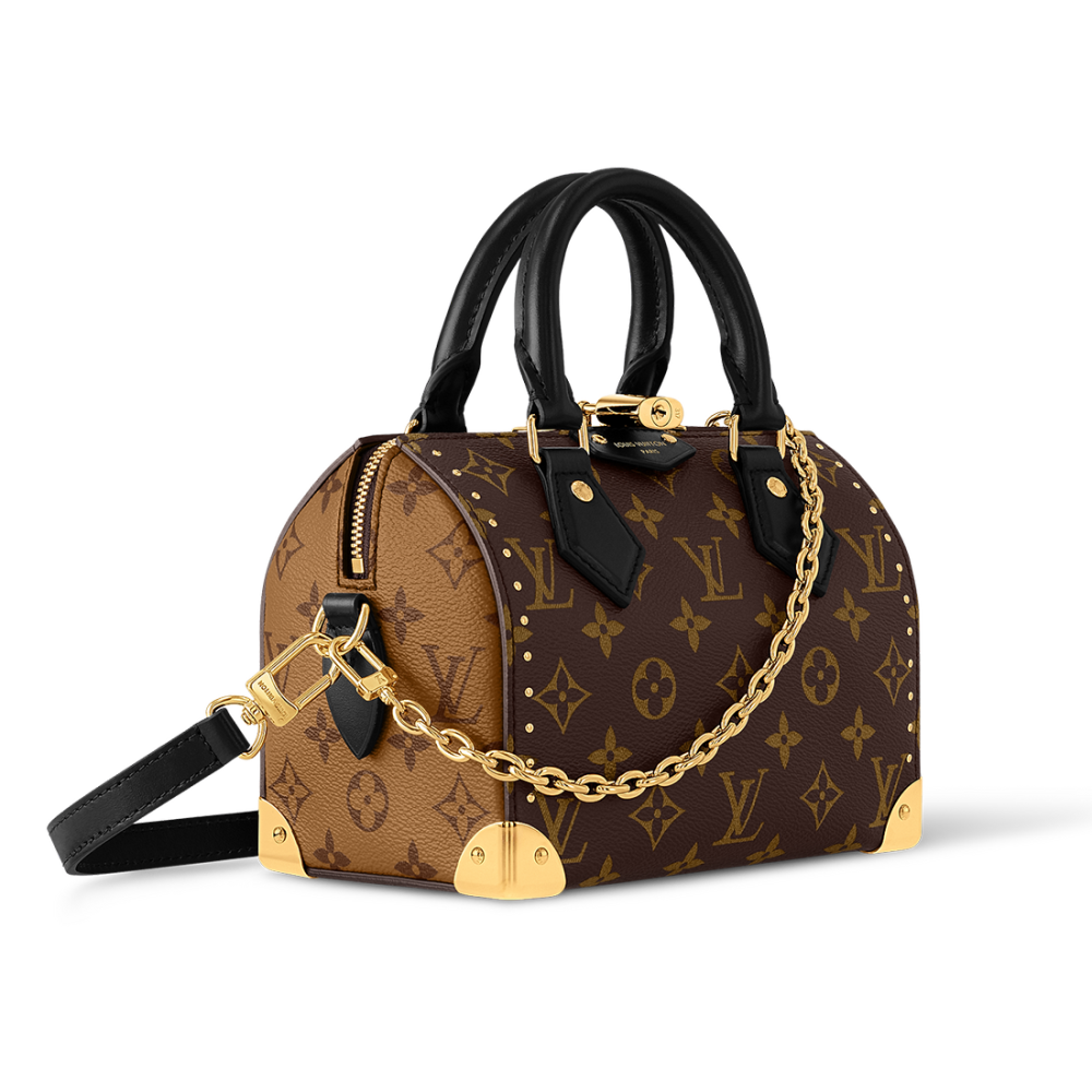 Louis Vuitton Cruise Speedy Brown HandBag-thumb-2