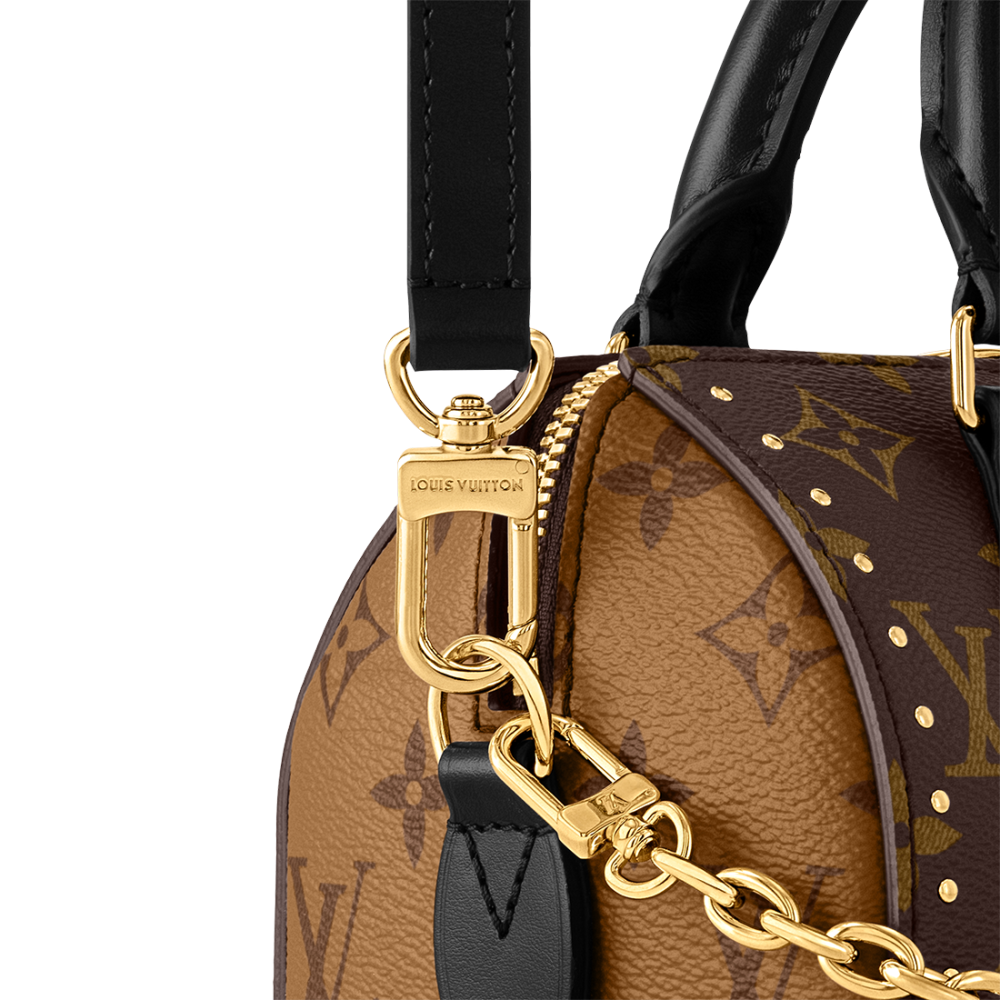 Louis Vuitton Cruise Speedy Brown HandBag-thumb-4