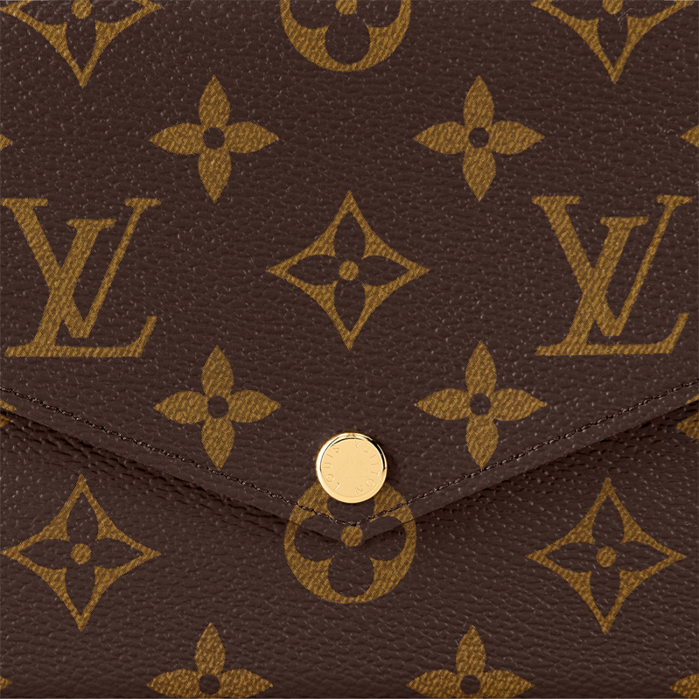 Louis Vuitton Felicie Brown Sling Bag-thumb-5