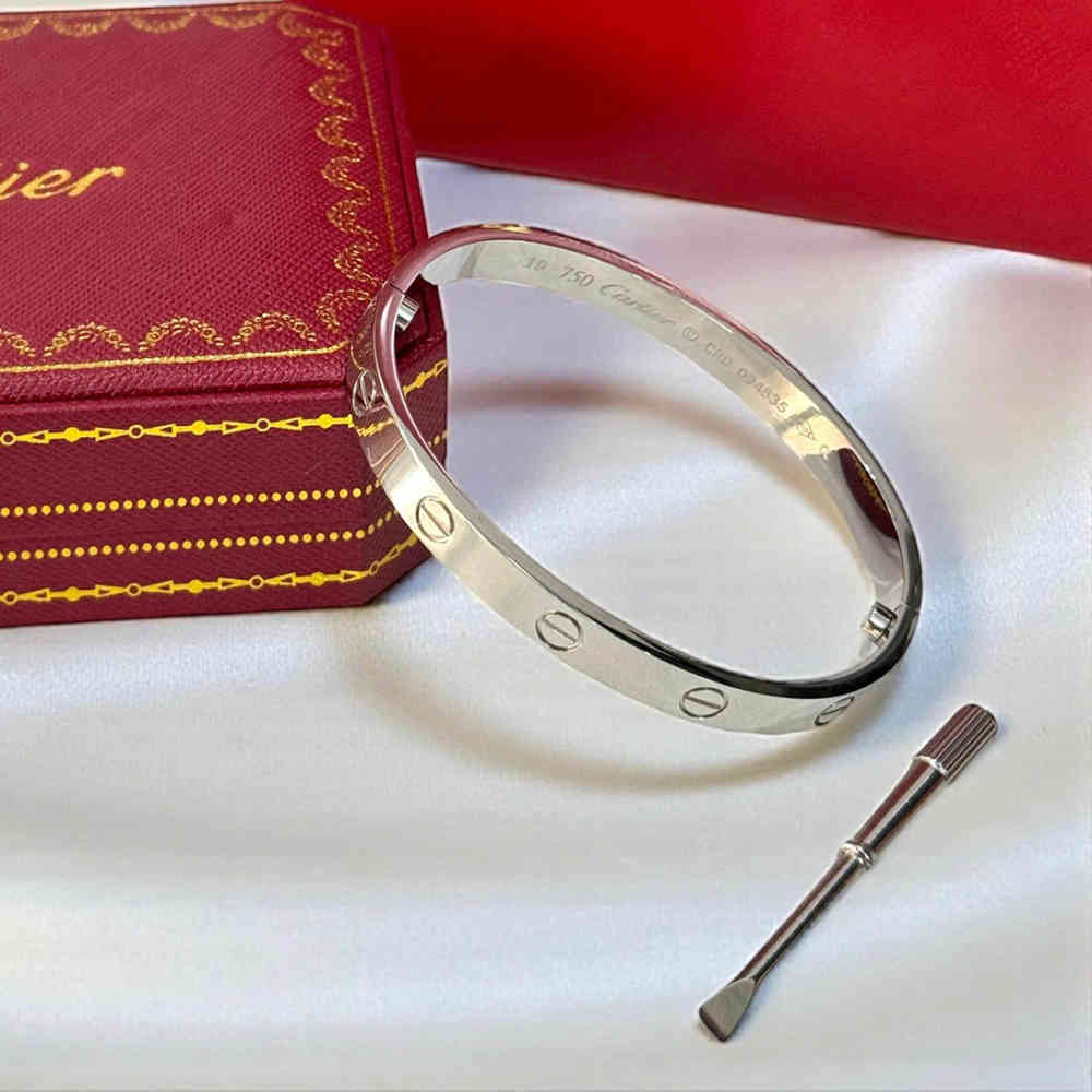 Silver Cartier Rose Gold Love Bracelet