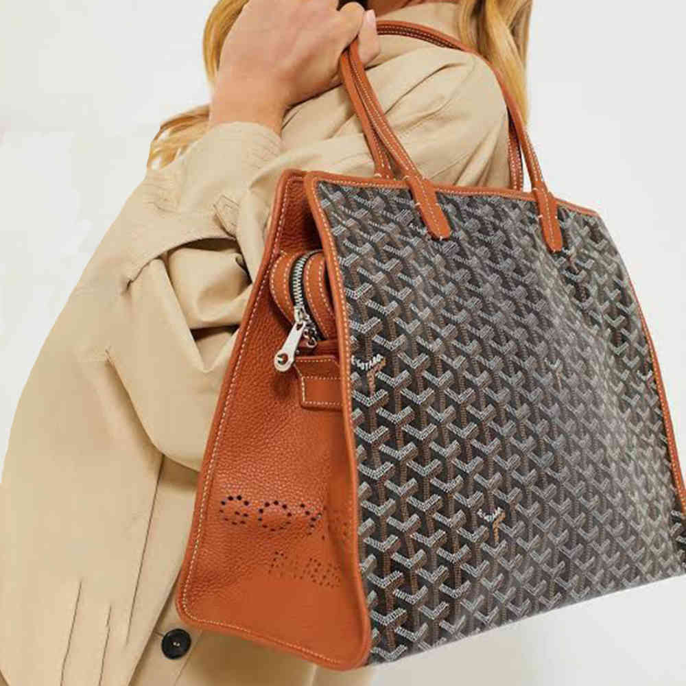 Goyard Hardy PM Black & Brown Tote Bag-2