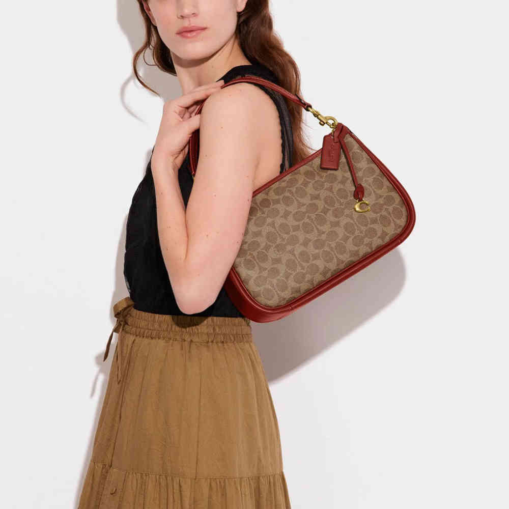 Coach Cary Beige & Brown Shoulder Bag-1