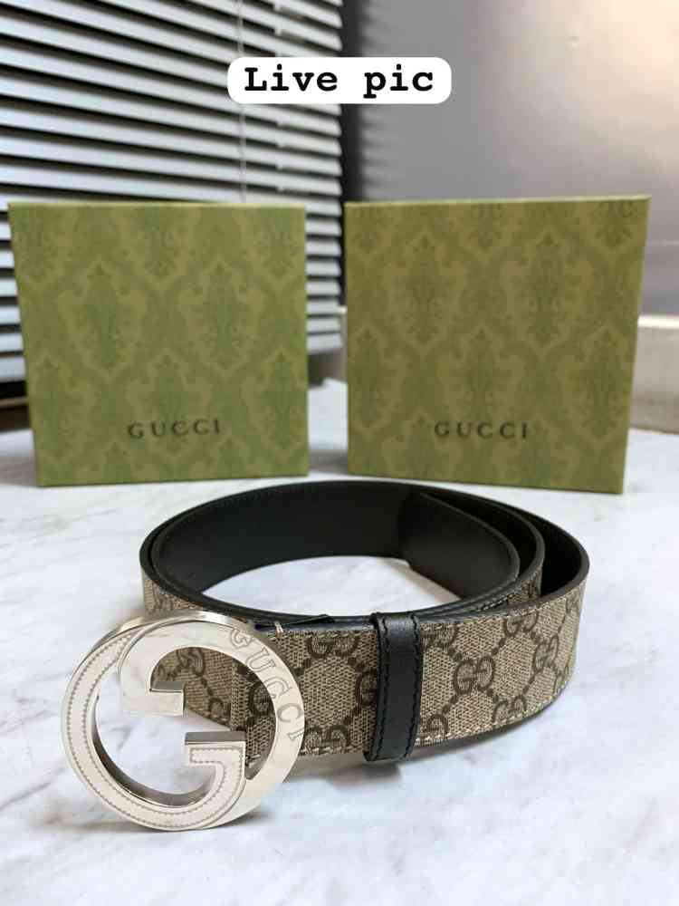 Golden Gucci Grey Premium Quality Belt