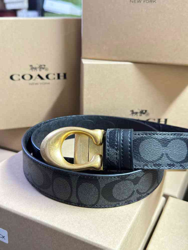 CC Logo Black Premium Quality Belt Coach Blue Premium Quality Belt