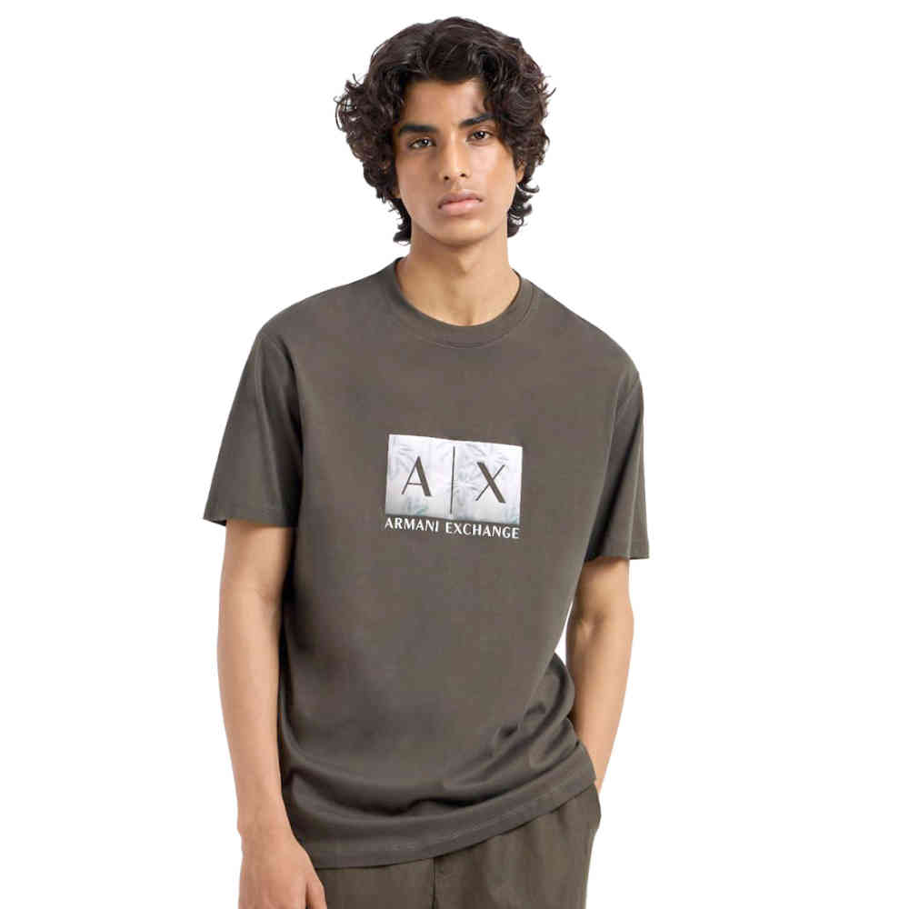 Brown Armani Exchange Black Premium Quality T-shirt
