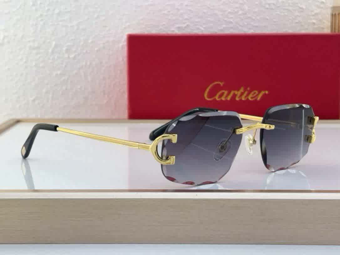 Cartier Colour Changing Lens Grey Premium Sunglasses-thumb-1