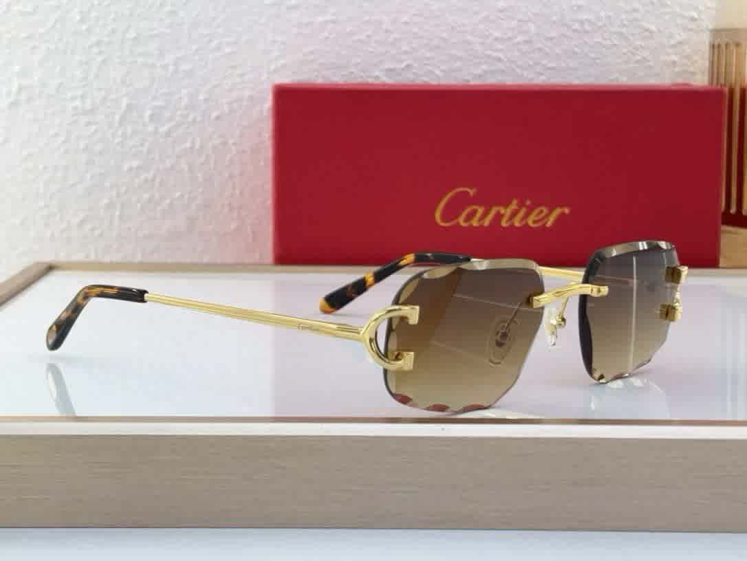 Cartier Colour Changing Lens Brown Premium Sunglasses-thumb-1