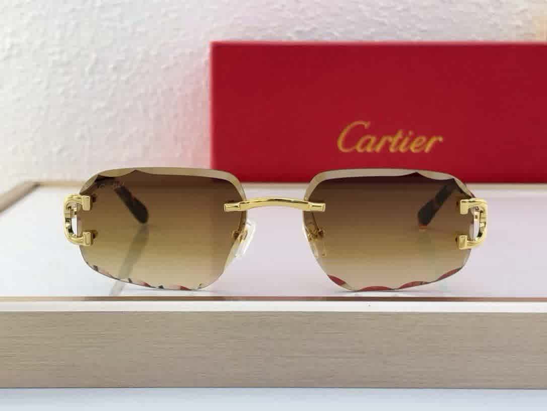 Cartier Colour Changing Lens Brown Premium Sunglasses-thumb-2