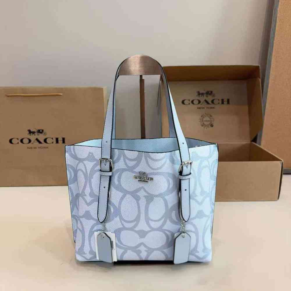 Skyblue Coach Mollie White Medium Tote Bag