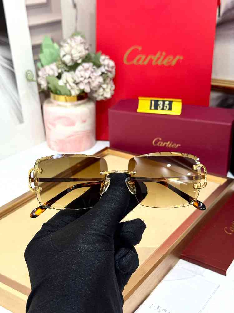 Cartier Colour Changing Lens Brown Premium Sunglasses-thumb-2