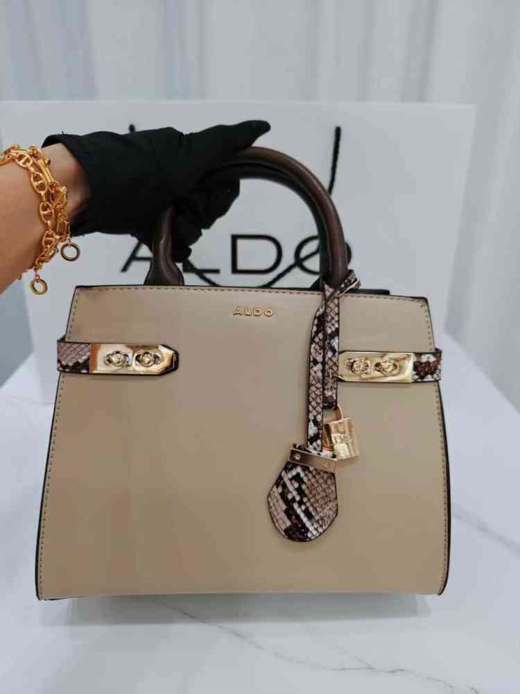 Beige Aldo Ashover Dark Brown Premium HandBag