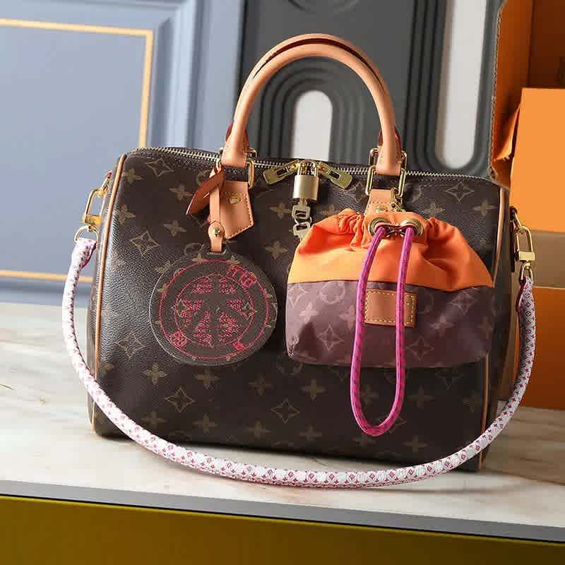 Louis Vuitton Speedy 30 Brown Handbag-1