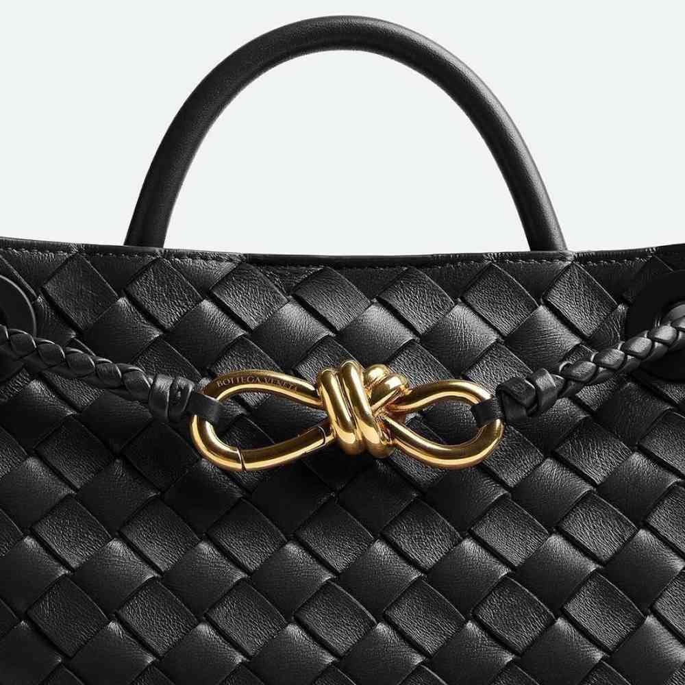 Bottega Veneta Andiamo Black Handbag-4