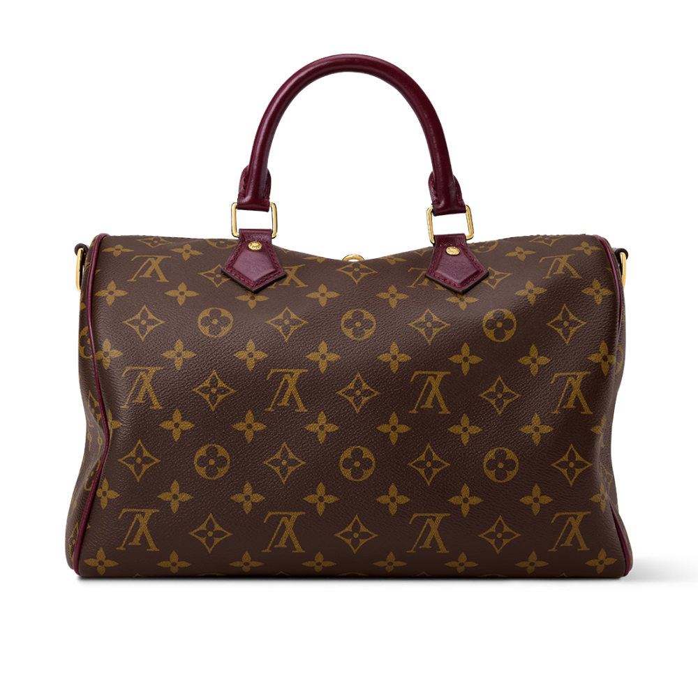 Louis Vuitton Speedy 30 Soft Celebration Monogram Handbag M28379-1