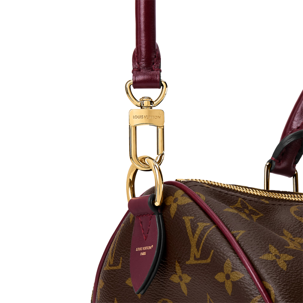 Louis Vuitton Speedy 30 Soft Celebration Monogram Handbag M28379-4
