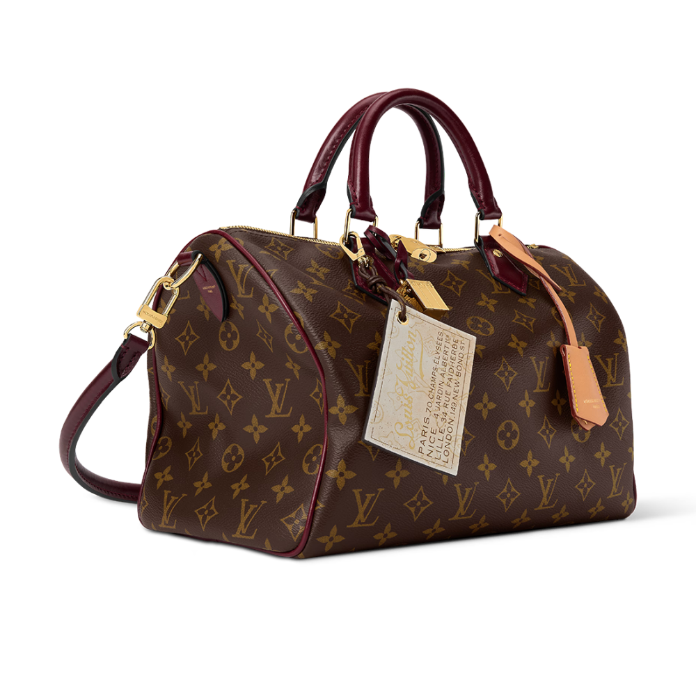 Louis Vuitton Speedy 30 Soft Celebration Monogram Handbag M28379-2