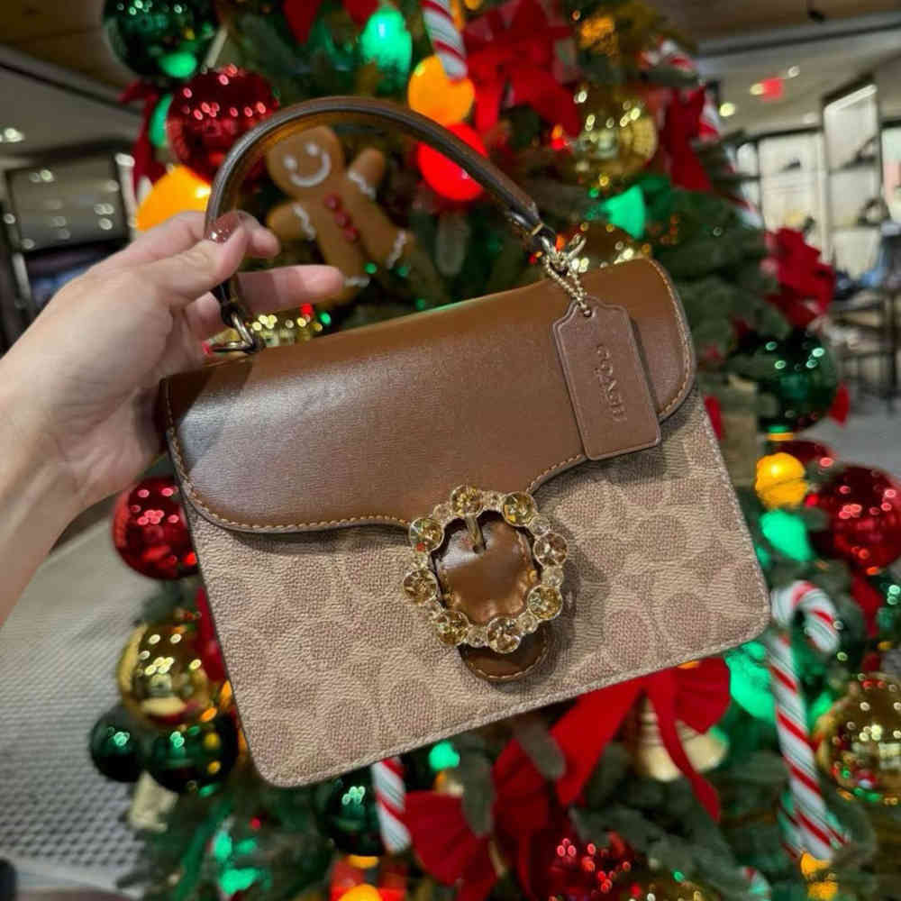 Brown Coach Courtney Signature Canvas Beige Top Handle Bag