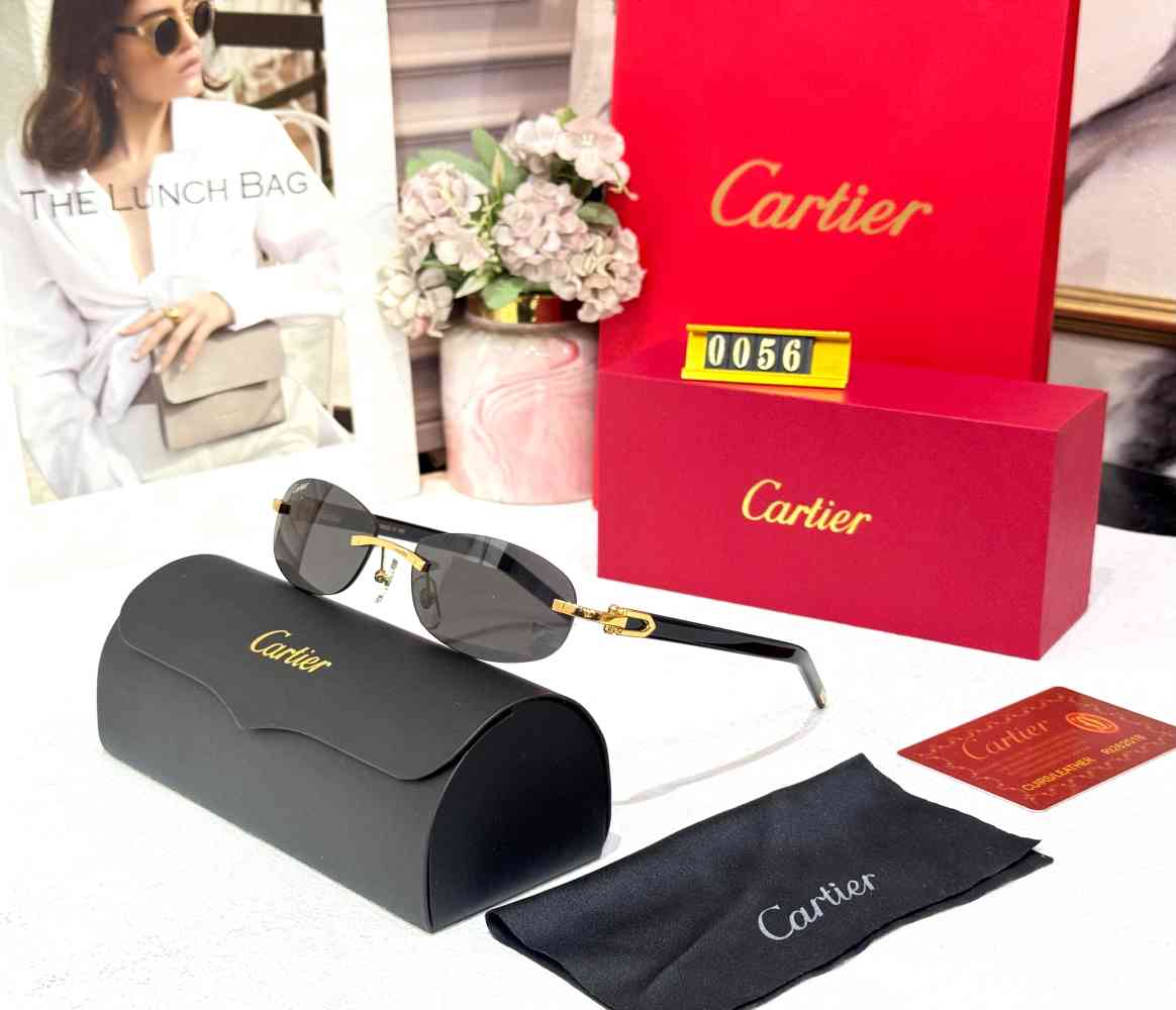 Cartier Changing Lens Black Premium Sunglasses