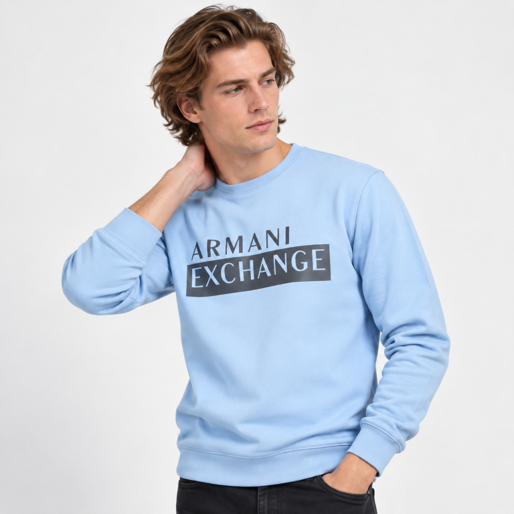 Blue Armani Exchange Sky Blue Premium Quality Sweatshirt
