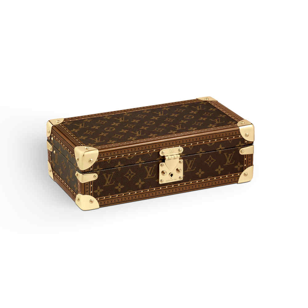Louis Vuitton Brown Luxury 8 Watch Box