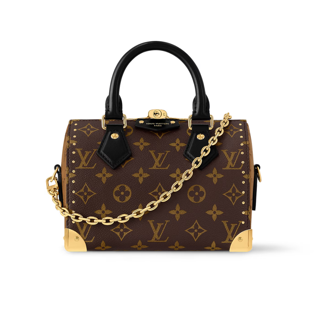 Louis Vuitton Cruise Speedy Brown HandBag