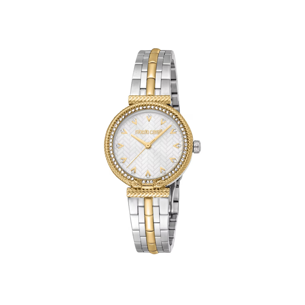 Roberto Cavalli Chiarezza Snake Core Silver Dial Analog Watch RC5L078M0055