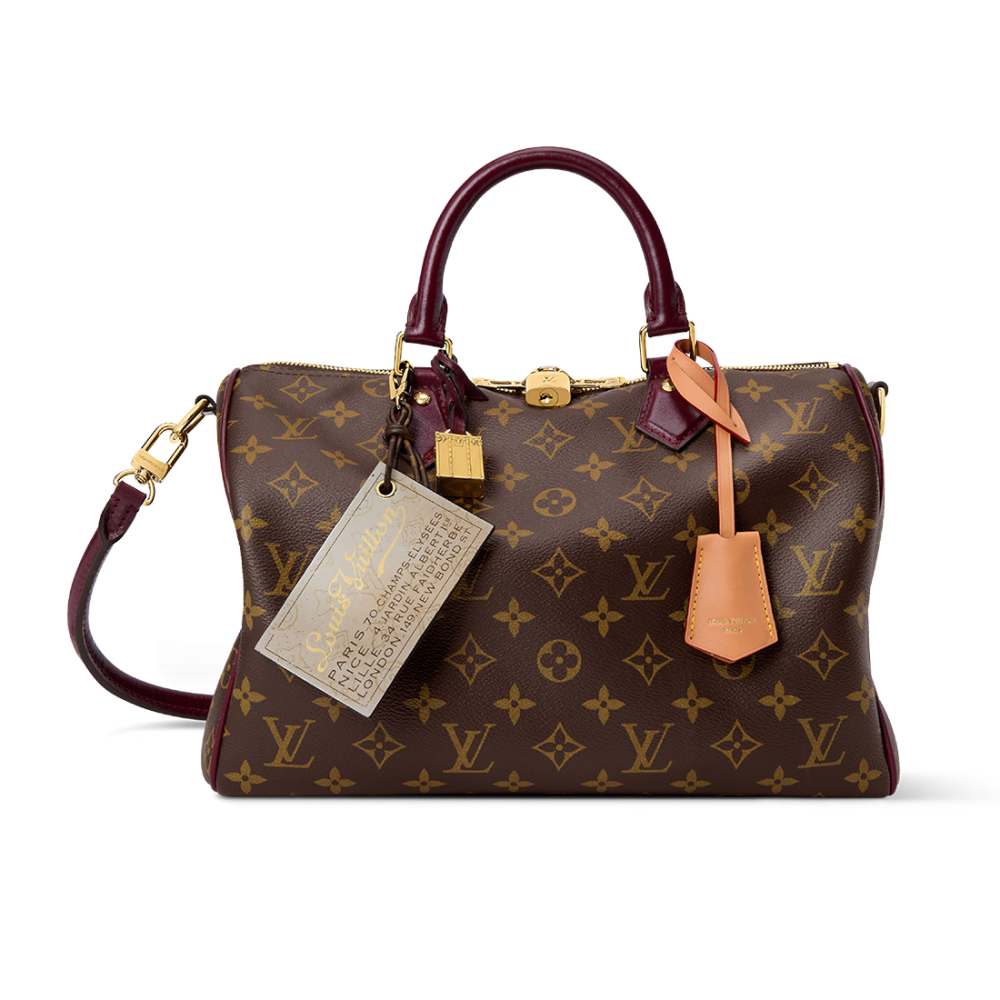 Louis Vuitton Speedy 30 Soft Celebration Monogram Handbag M28379