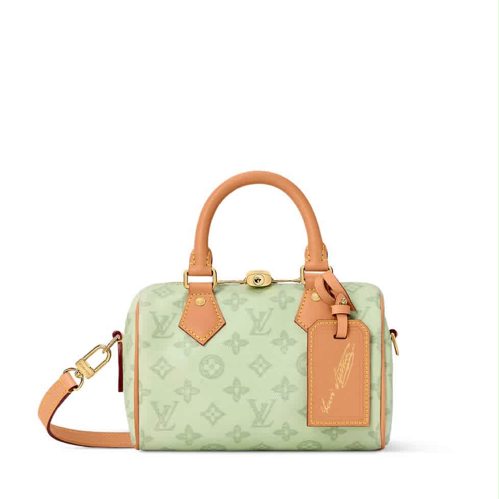 Louis Vuitton Nano Speedy Green Handle Bag