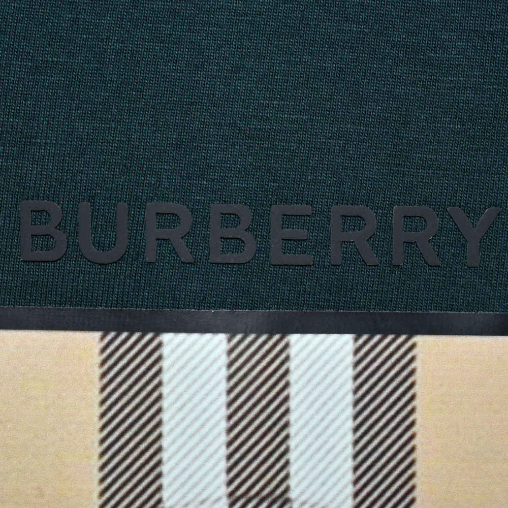 Burberry Teddy Print Dark Green Women Overized T-shirt-3