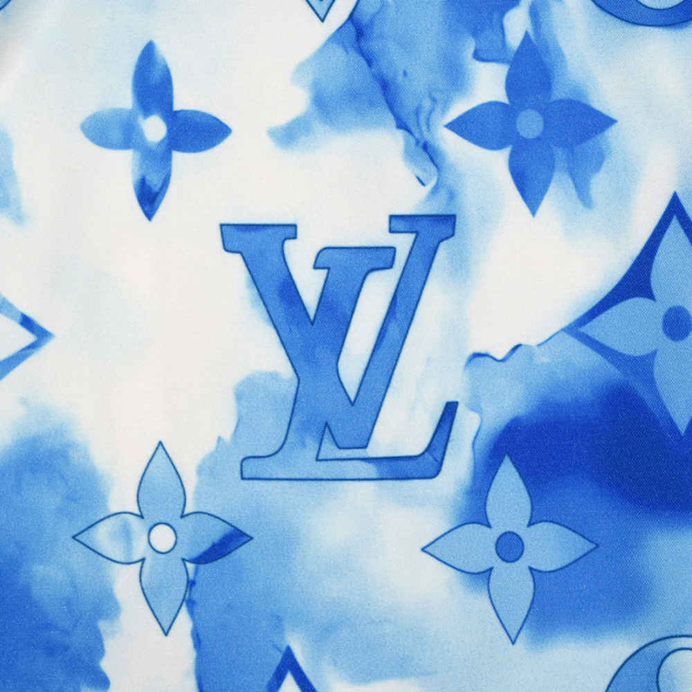 Louis Vuitton Blue & White Premium Quality Men's Shorts-2