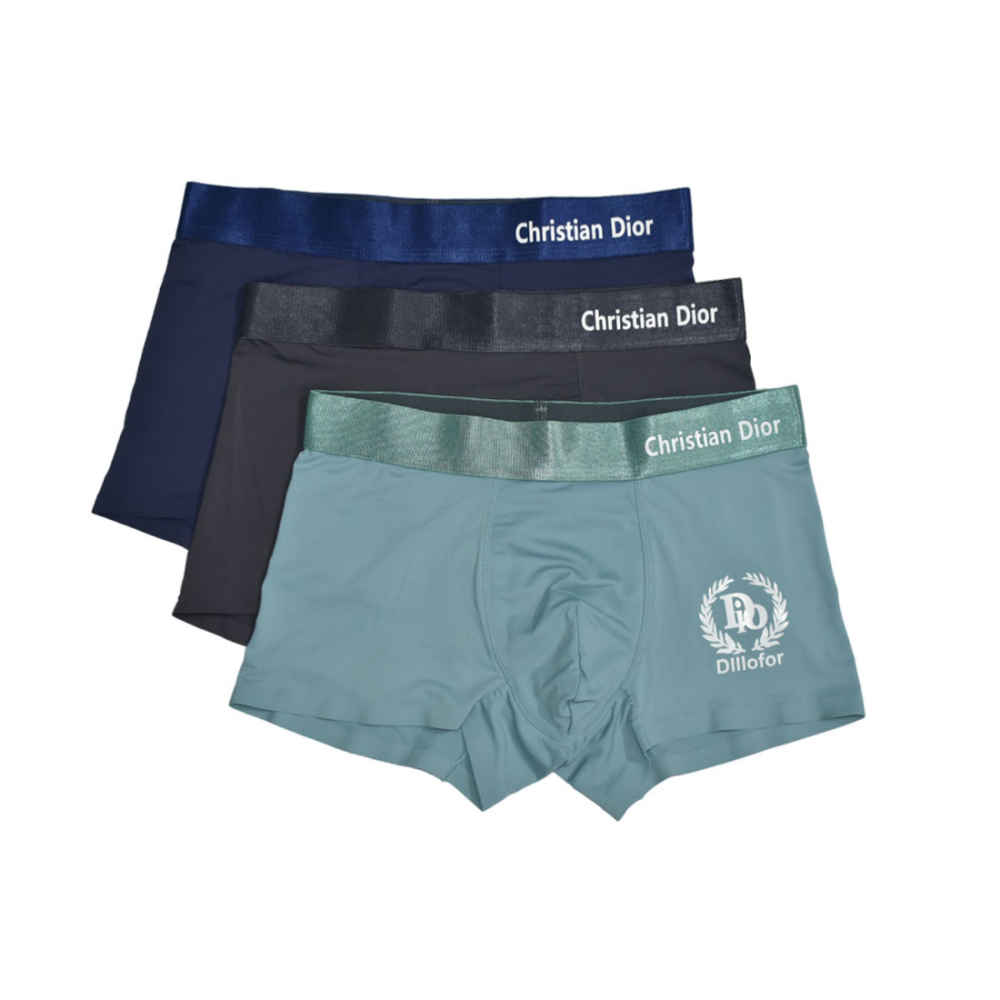 Dior Premium Quality Underwear-thumb-0