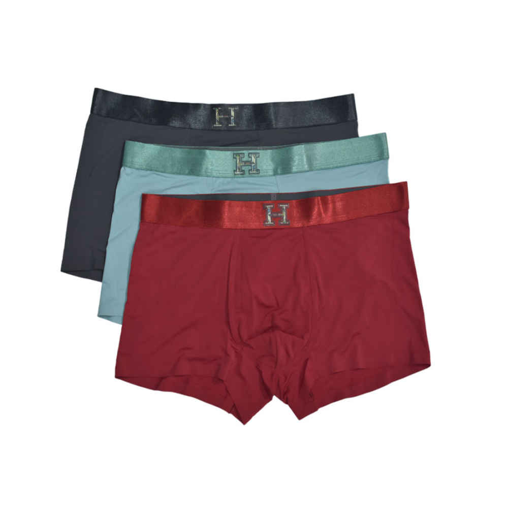 Hermes Premium Quality Underwear-thumb-0