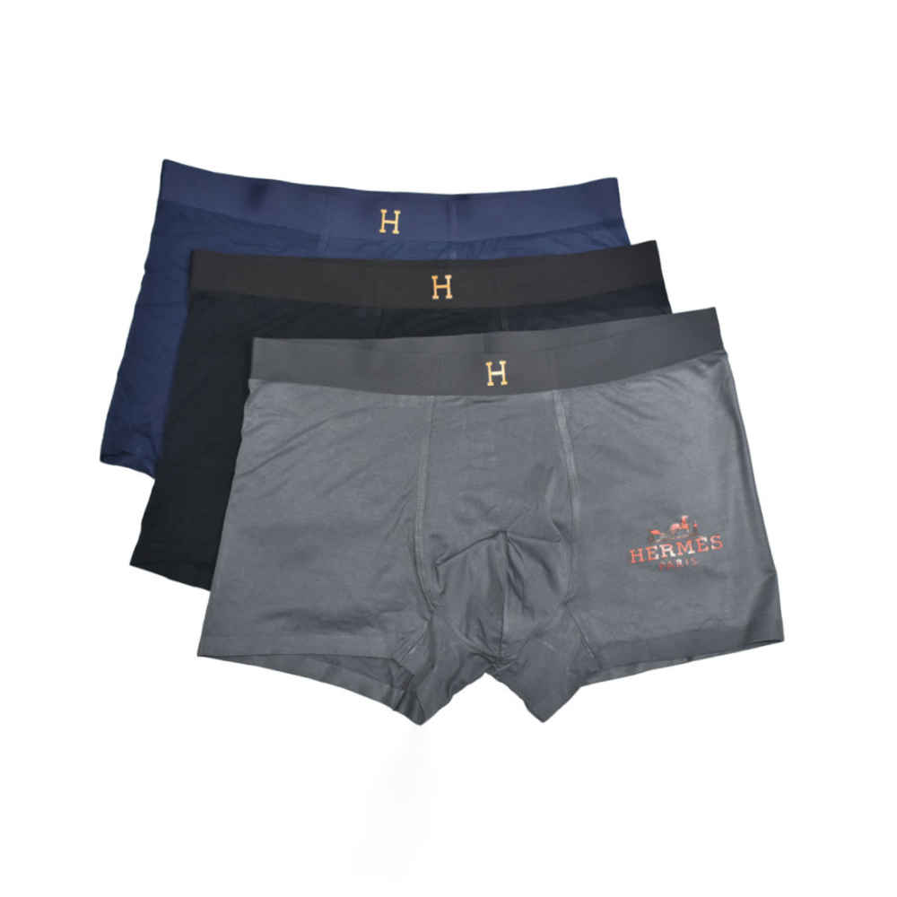 Hermes Premium Quality Underwear-thumb-0