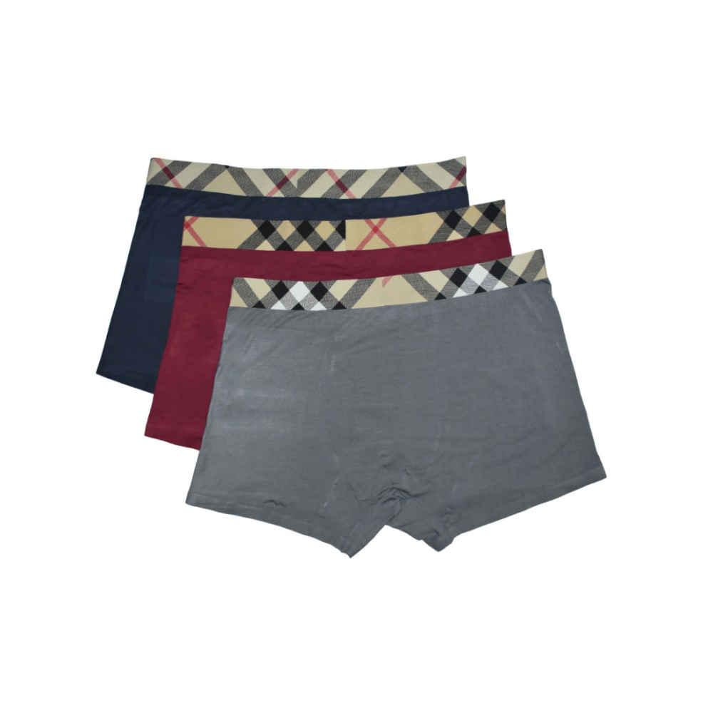 Burberry Premium Quality Underwear-thumb-1