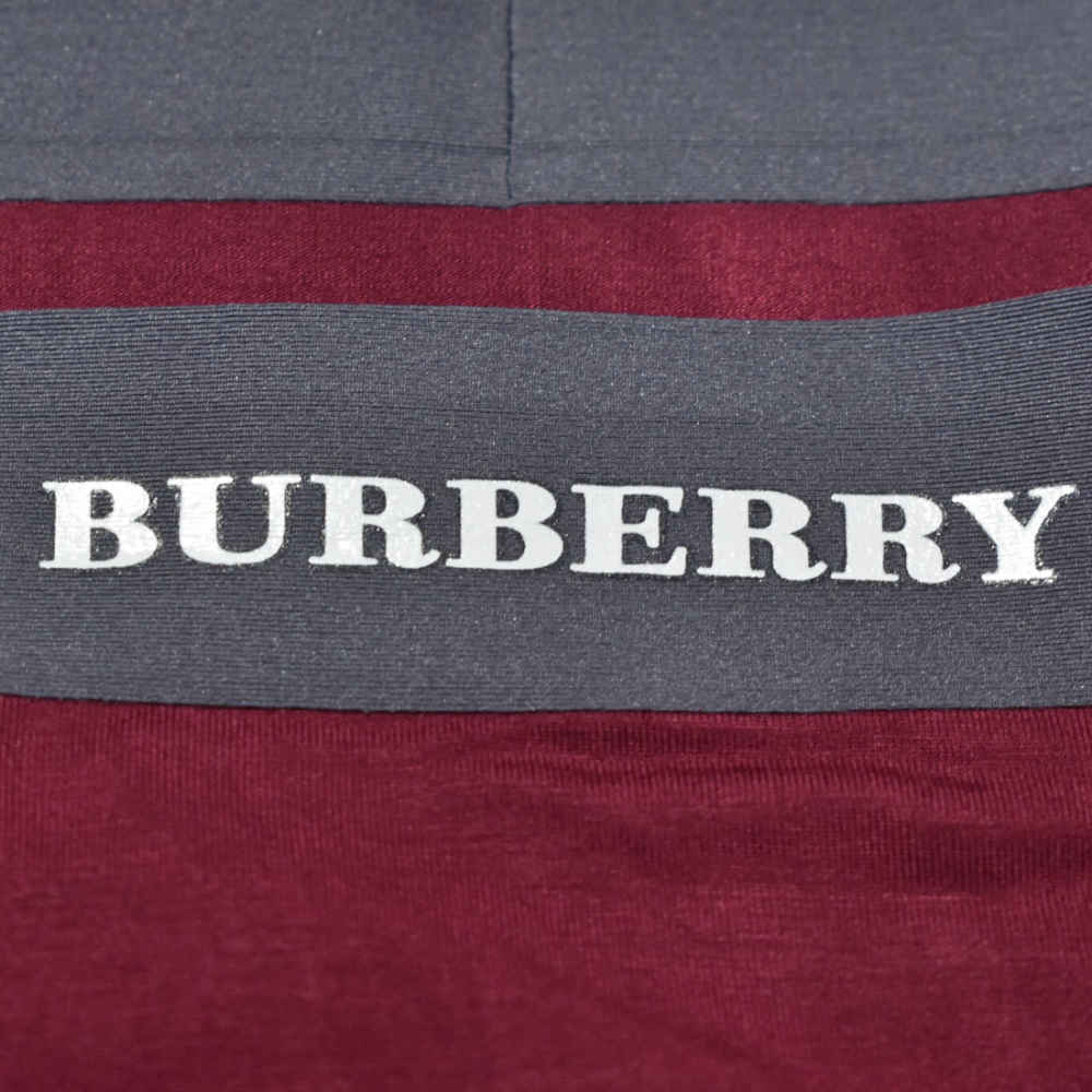 Burberry Premium Quality Mens Underwear-2