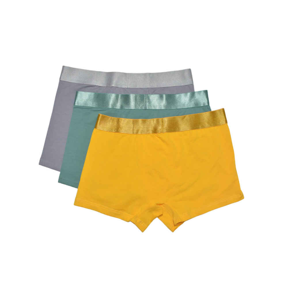 Burberry Premium Quality Synthetic Underwear-1