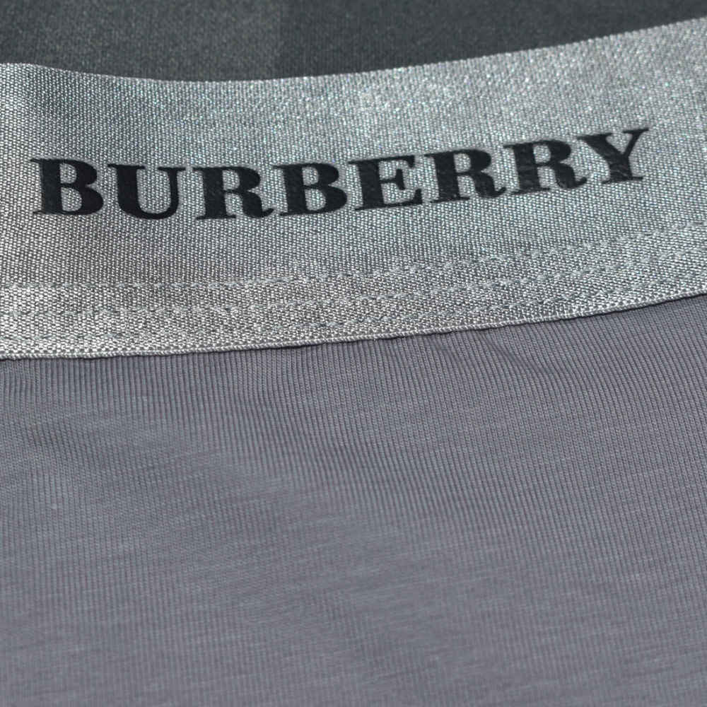 Burberry Premium Quality Synthetic Underwear-2