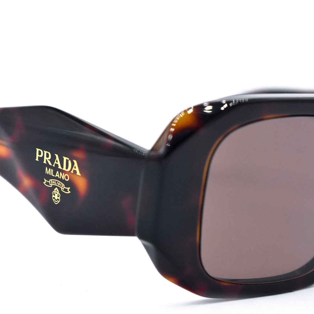 Prada Black & Brown Acetate Premium Sunglasses-thumb-2