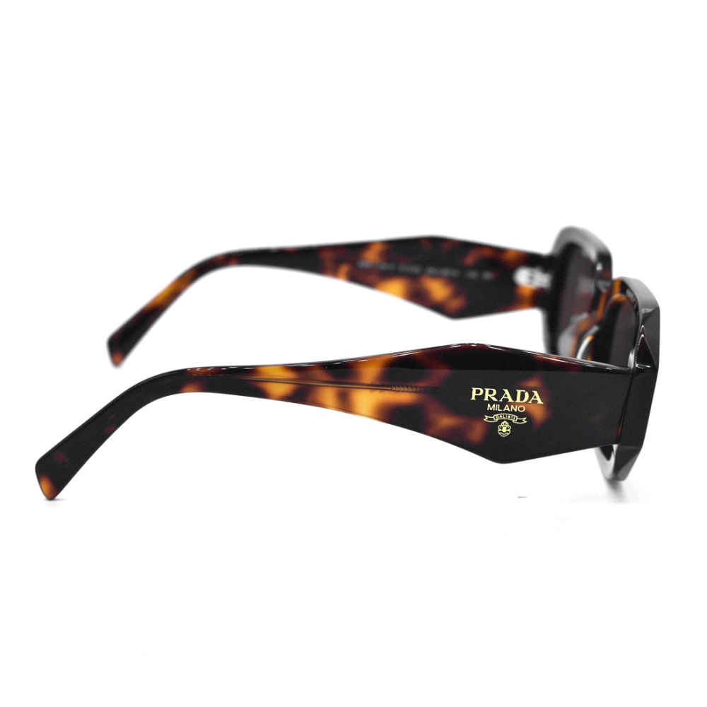 Prada Black & Brown Acetate Premium Sunglasses-thumb-3