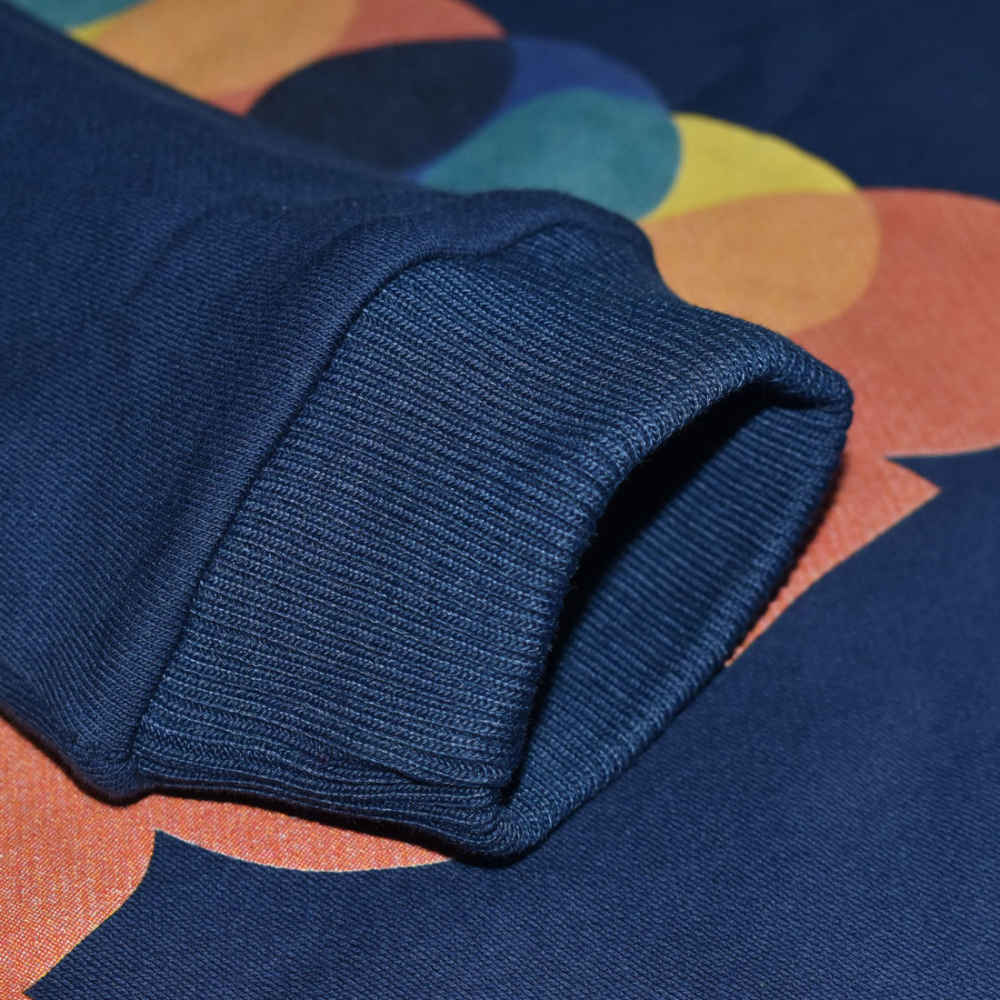 Ralph Lauren Blue Premium Quality Hoodie-4