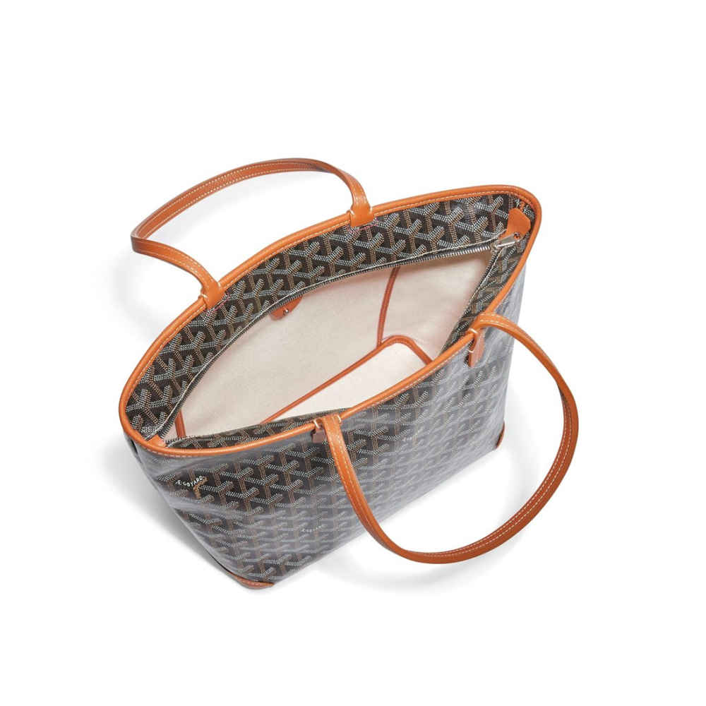 Goyard Artois PM Brown Handbag-2