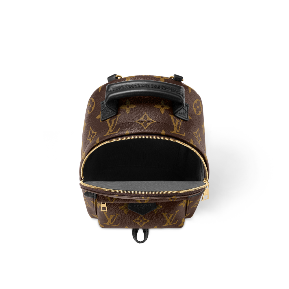 Louis Vuitton Palm Springs Mini Bag-thumb-3