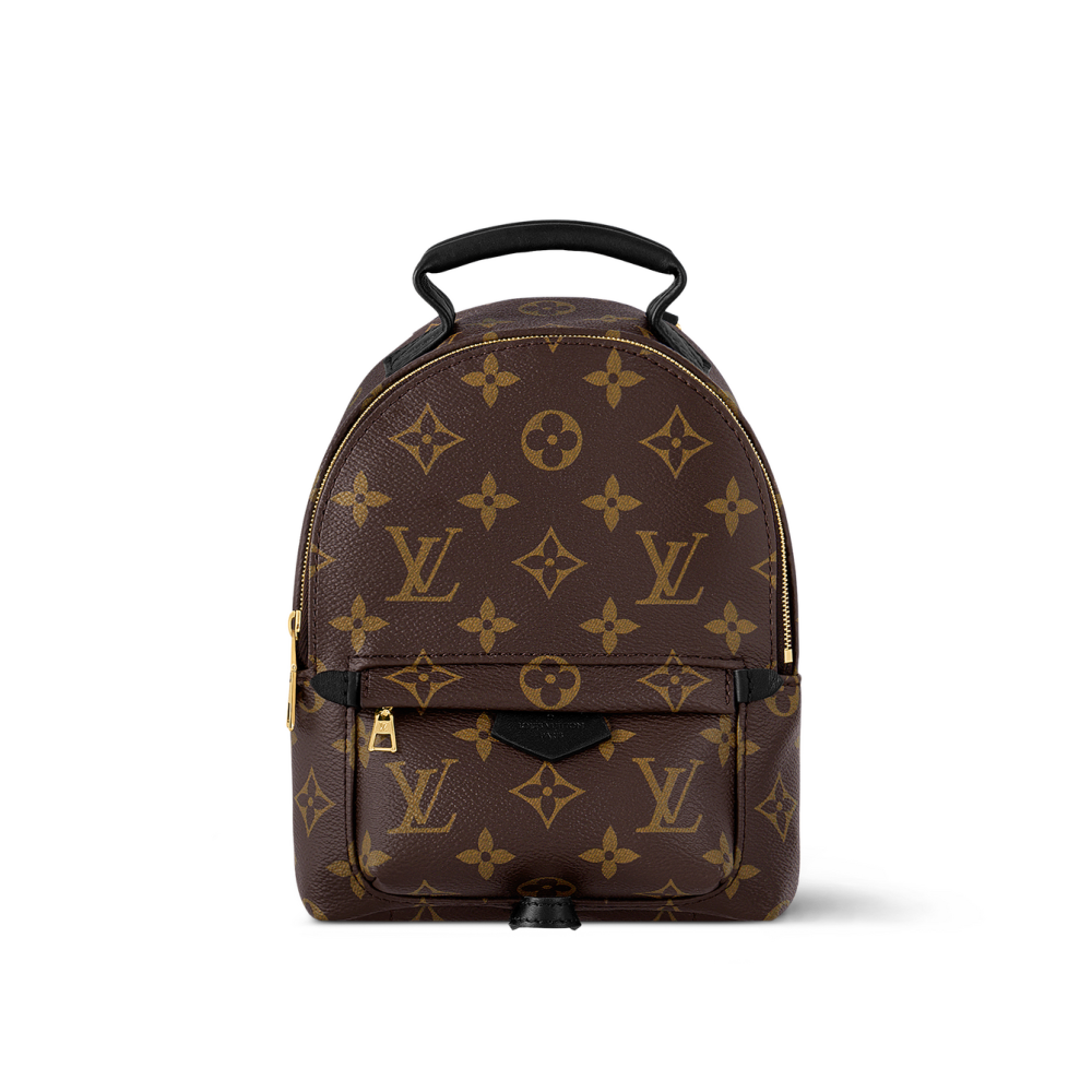 Louis Vuitton Palm Springs Mini Bag-thumb-0