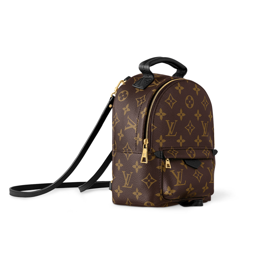 Louis Vuitton Palm Springs Mini Bag-thumb-1