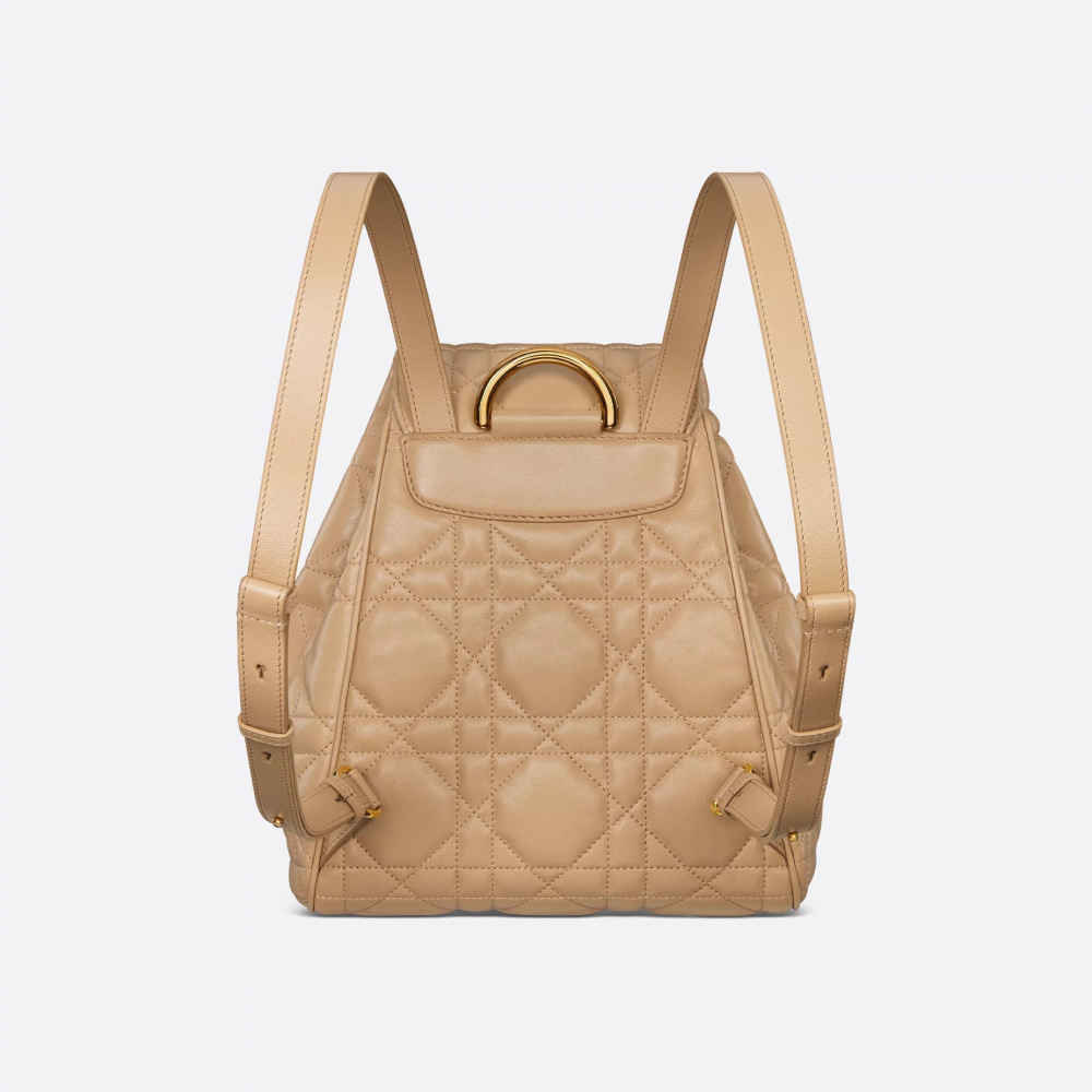 Christian Dior Brown Premium Backpack-2