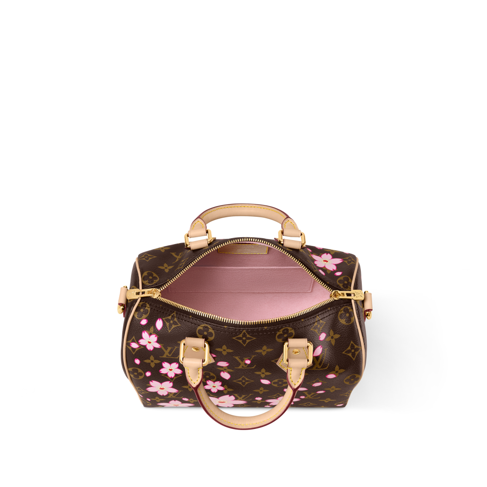 LV x TM Speedy Bandoulière 25 Handbag-3
